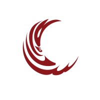 Saleem Memorial Trust Hospital logo - Similar company to School Of International Studies In Sciences And Arts (Sisa)