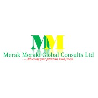 Merak Meraki Global Consults Ltd logo - Similar company to Merakisolutions Ltd