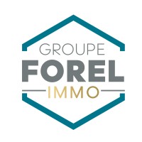 Groupe FOREL IMMO logo - Similar company to E-Satisfaction