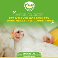Volaille du terroir logo - Similar company to Ardenne Volaille