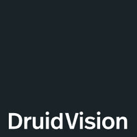 Druid Vision logo - Similar company to Sonicitconsulting