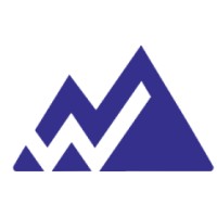 Metawise logo - Similar company to Switcheko