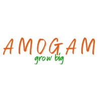 Amogam.com logo - Similar company to Virtulabs