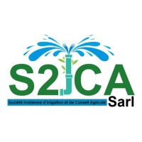S2ICA SARL logo - Similar company to Group El-Kabod Consulting