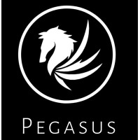The Pegasus Team logo - Similar company to Formula Team Pegasus