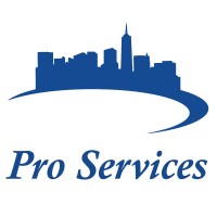 Pro Services LLC