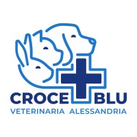 Croce Blu Alessandria logo - Similar company to Mi.Fra Srl
