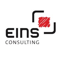 EINS Consulting logo - Similar company to Metabuild
