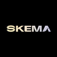 SKEMA co logo - Similar company to Hidigtive