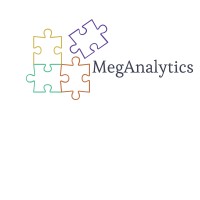 MegAnalytics logo - Similar company to Meg Analytics