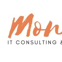 Moneti Tek Solutions logo - Similar company to Quantum Logic Llc
