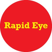 RAPID EYE Limited logo - Similar company to Paper Shoot Technologies