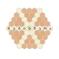 ნებისწერა logo - Similar company to Riddle