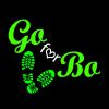 Stichting Go for Bo logo - Similar company to Lymefonds