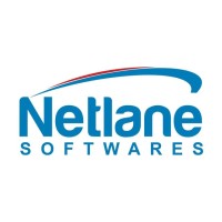 Netlane Softwares logo - Similar company to Machine Vision Consulting Srl