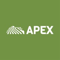 Apex Financial Solution logo - Similar company to Fine Future