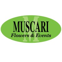 Muscari Fine Flowers