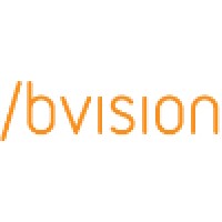 BVision logo - Similar company to Rebel Dwarf