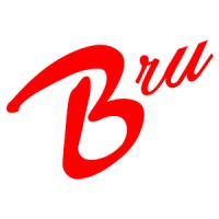 BRU.IMPIANTI Group srl logo - Similar company to Proheat Systems Limited