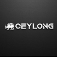 CEYLONG logo - Similar company to Revoise