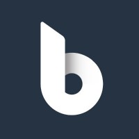 Bleesoft logo - Similar company to Cullinane Steele Limited