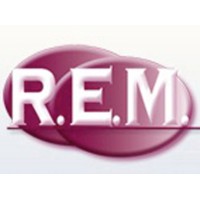 R.E.M. Staffing logo - Similar company to Reach Professionals Llc
