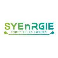 SYEnRGIE logo - Similar company to Budget Our Planet