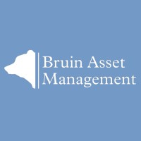 Bruin Asset Management logo - Similar company to Bruin Quant Traders