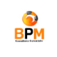 Bpm Consultores Gerenciales