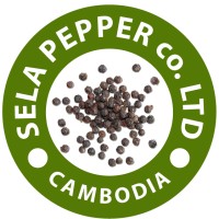 Sela Pepper co., LTD logo - Similar company to Bodia Spa