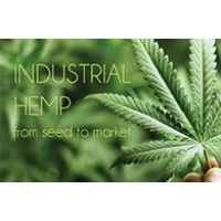Oregon Hemp Traders logo - Similar company to Endless Distribution (Cannabis)