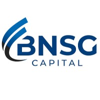 BNSG Capital logo - Similar company to Bnsg - Bluesky Network Solutions Group