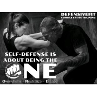 DefensiveFit, LLC logo - Similar company to Hudsonseed