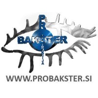 PRODUKCIJA BAKSTER d.o.o. logo - Similar company to Video Produkcija - Digital Studio