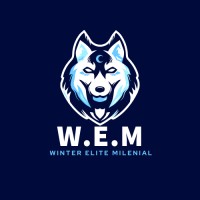 Winter Elite Milenial logo - Similar company to Directnet Solution