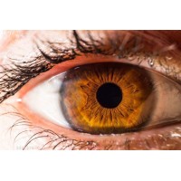 Soraya Lezaar logo - Similar company to Dots2Connect