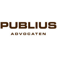 Publius advocaten logo - Similar company to Algemene Bouwonderneming V&M