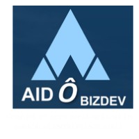Aid'Ô BizDev logo - Similar company to Datapointlabs