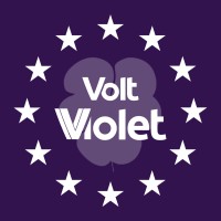Volt Violet logo - Similar company to Volt Nijmegen