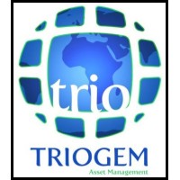 Triogem Asset Management logo - Similar company to Seymour Asset Management