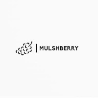 Mulshberry logo - Similar company to Masterswriteup