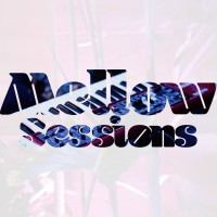SF Mellow Sessions logo - Similar company to Plant Therapy
