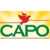 Canadian Association of Pakistan Origin logo - Similar company to Pakistani Students Association - Wilfrid Laurier University