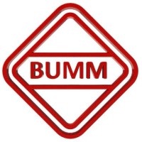 PT Bina Usaha Mandiri Mizusawa logo - Similar company to Pt Bakrie Autoparts