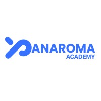 Panaroma Academy logo - Similar company to Zonecybersecurity