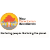 New Caledonian Woodlands