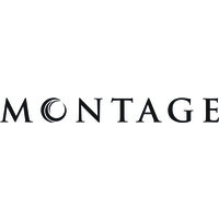 Montage logo - Similar company to Copperpoint