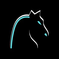 Chess Knight logo - Similar company to Chess Digital