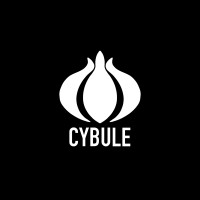 CYBULE logo - Similar company to Raposo