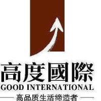 高度国际集团